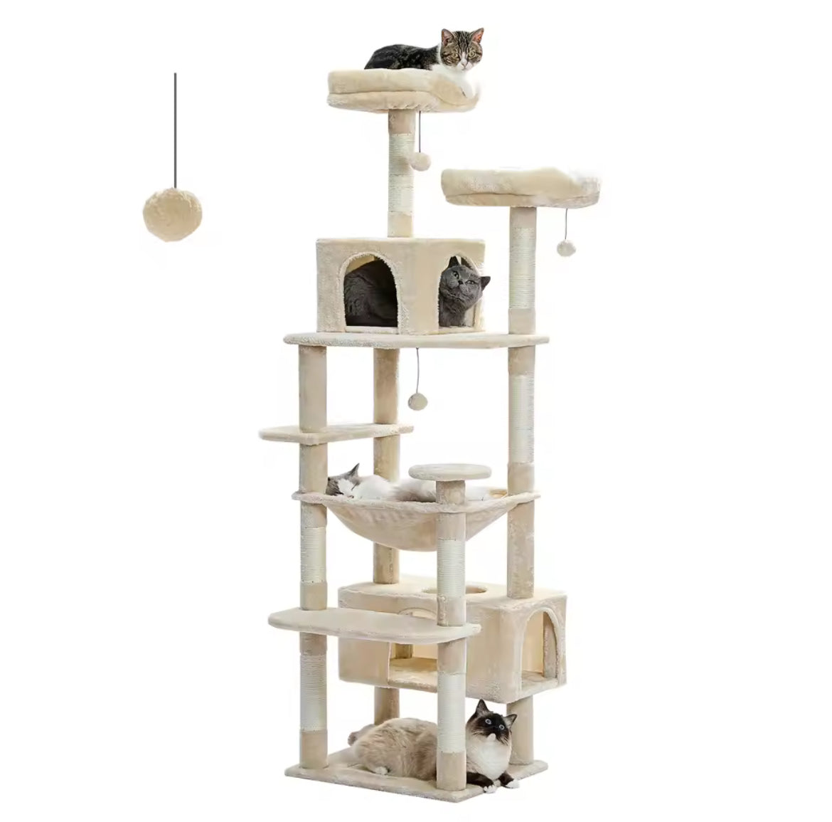 Grand arbre à chats