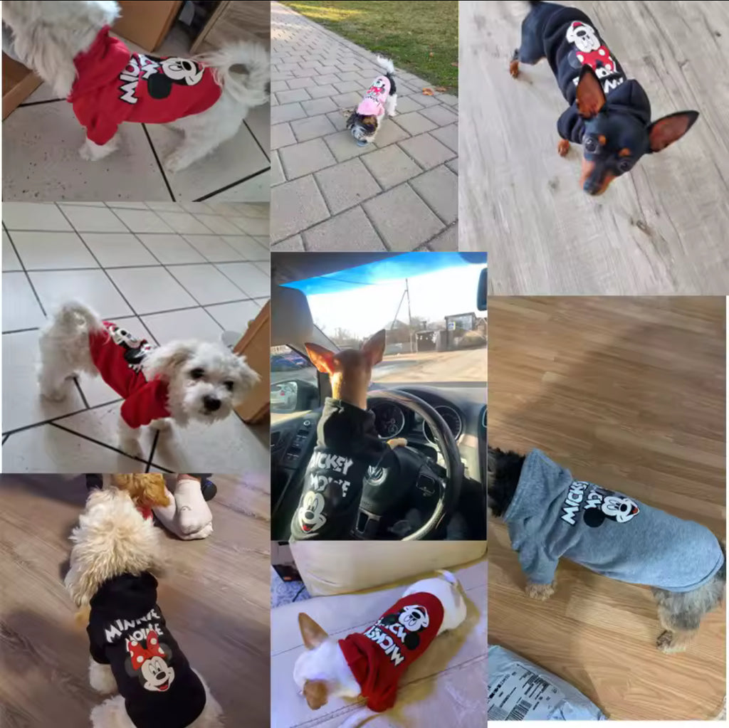 Sweat à capuche Disney pour chiens