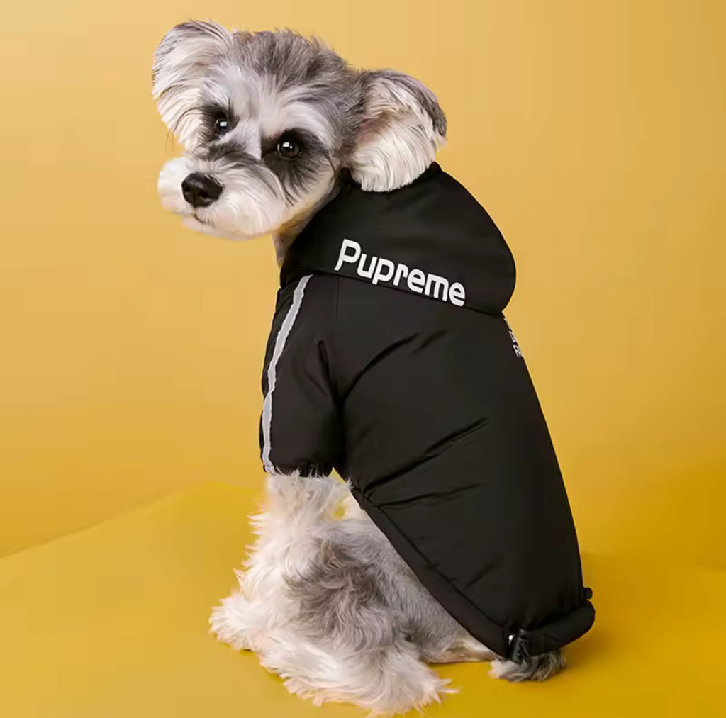Manteau imperméable pour chiens